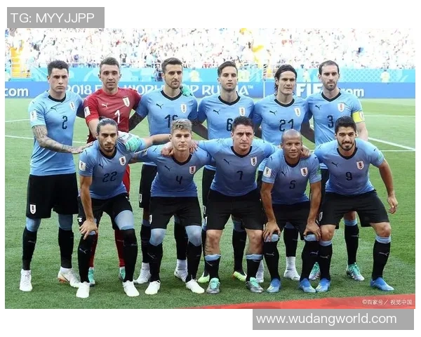 赛尔维亚足球队最新球星名单解析及实力分析