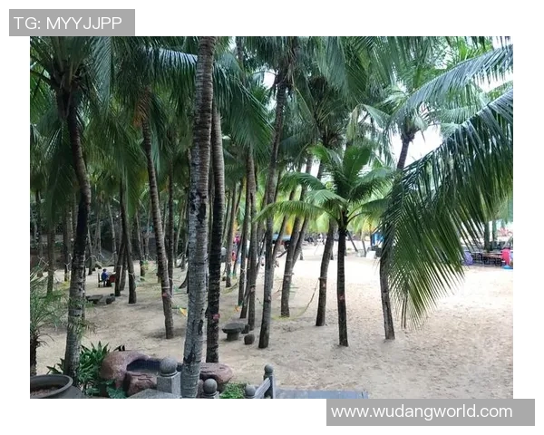 足球明星背影头像展现球场魅力 每一刻都充满动感与激情